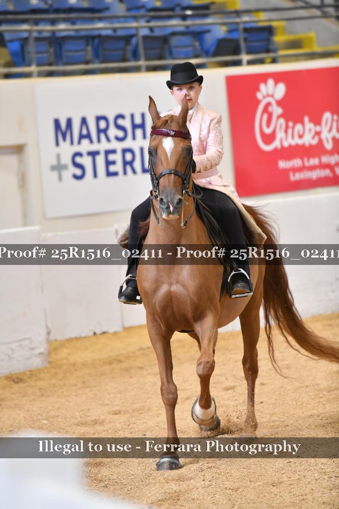 Proof Number 25R1516_02411
