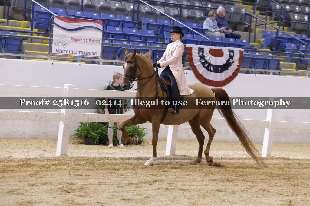 Proof Number 25R1516_02414