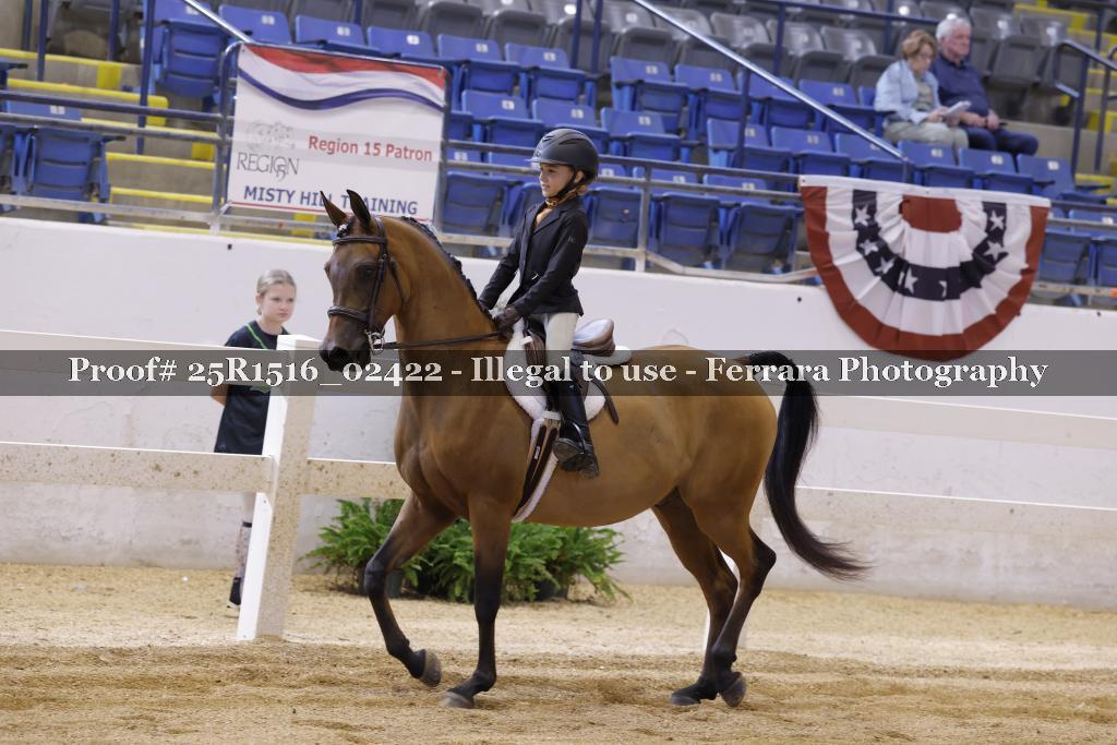 Proof Number 25R1516_02422