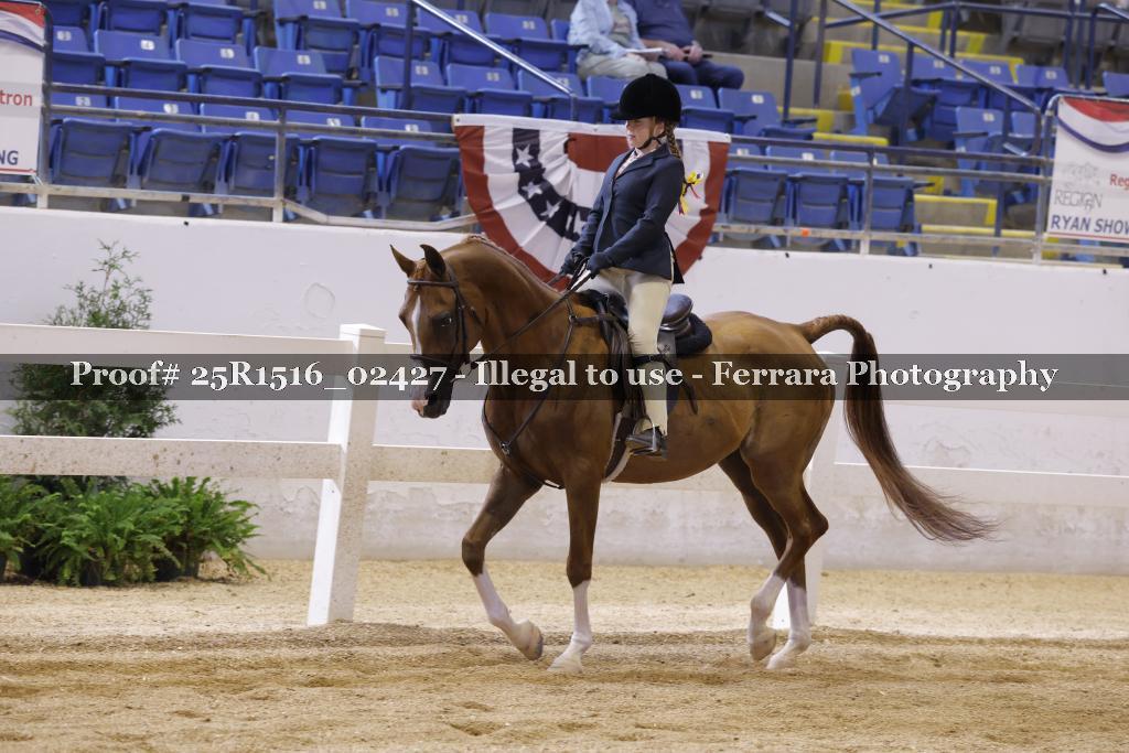 Proof Number 25R1516_02427