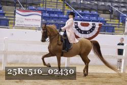 25R1516_02430 thumbnail