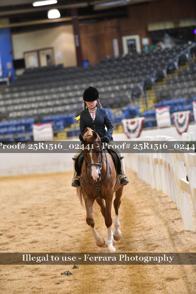 Proof Number 25R1516_02441