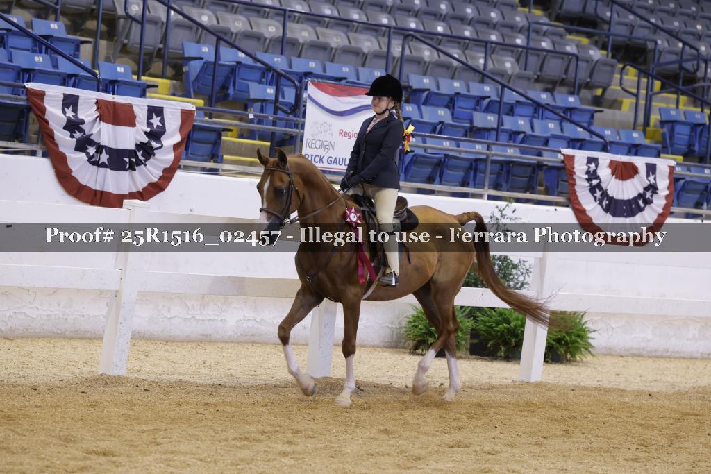 Proof Number 25R1516_02457