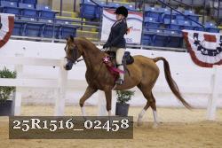 25R1516_02458 thumbnail