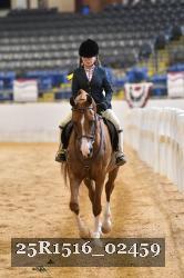 25R1516_02459 thumbnail