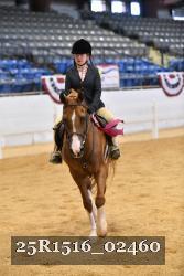 25R1516_02460 thumbnail