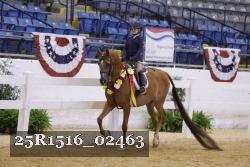 25R1516_02463 thumbnail