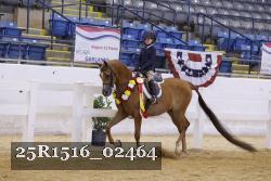 25R1516_02464 thumbnail