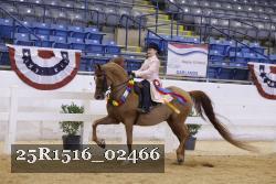 25R1516_02466 thumbnail