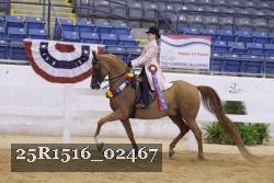 25R1516_02467 thumbnail