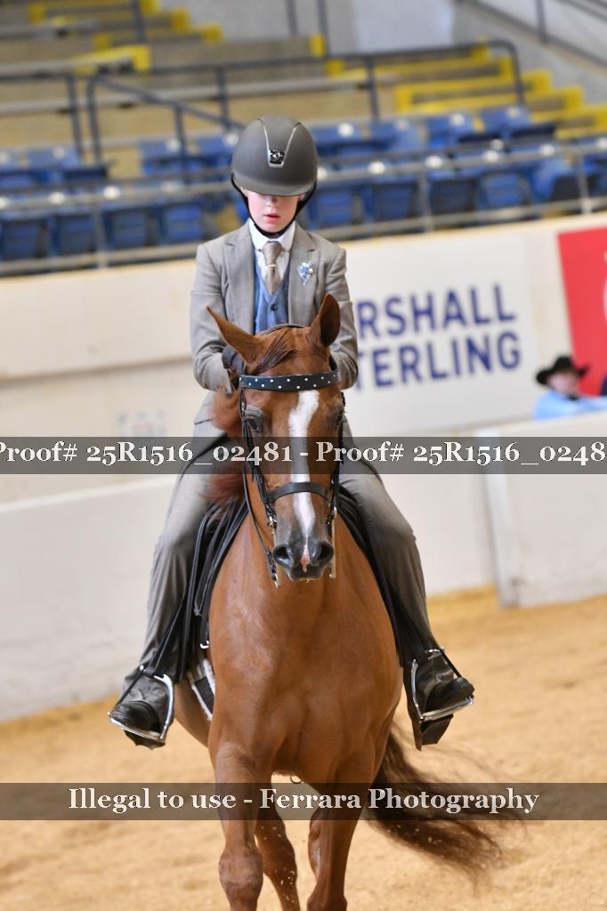 Proof Number 25R1516_02481