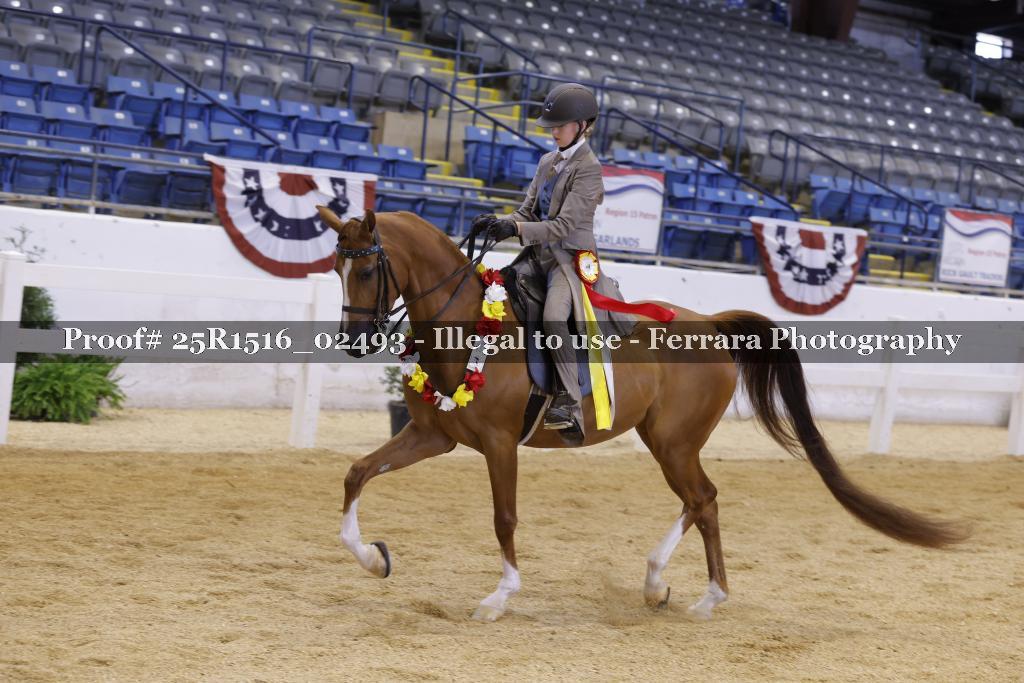 Proof Number 25R1516_02493