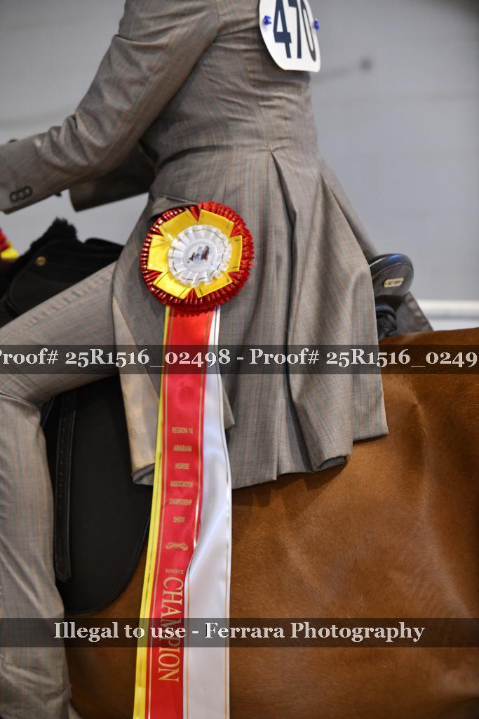 Proof Number 25R1516_02498