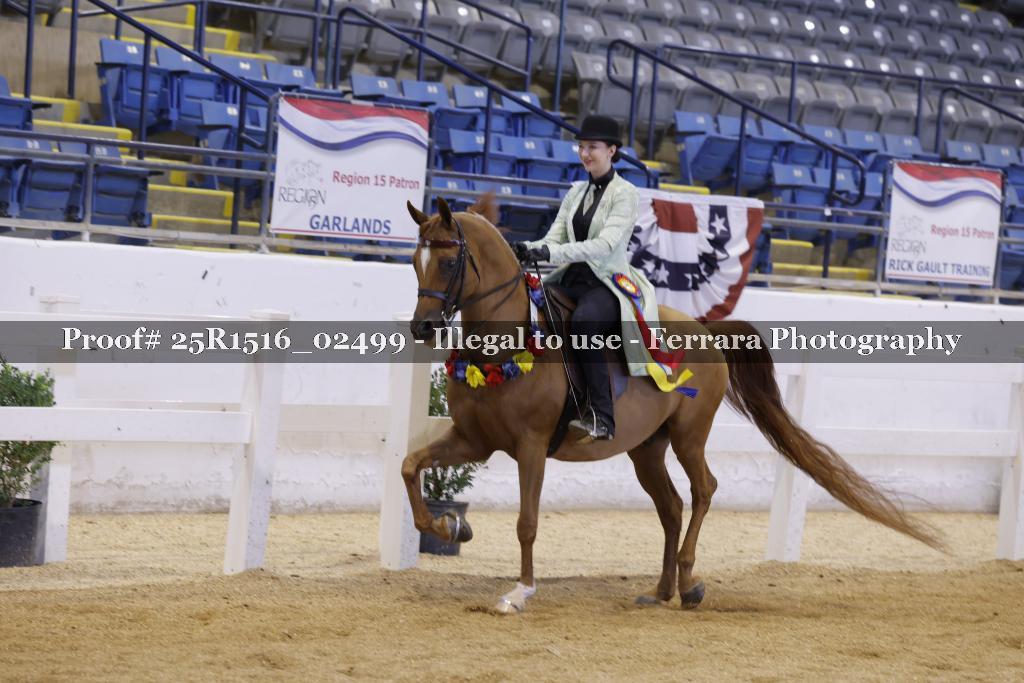 Proof Number 25R1516_02499