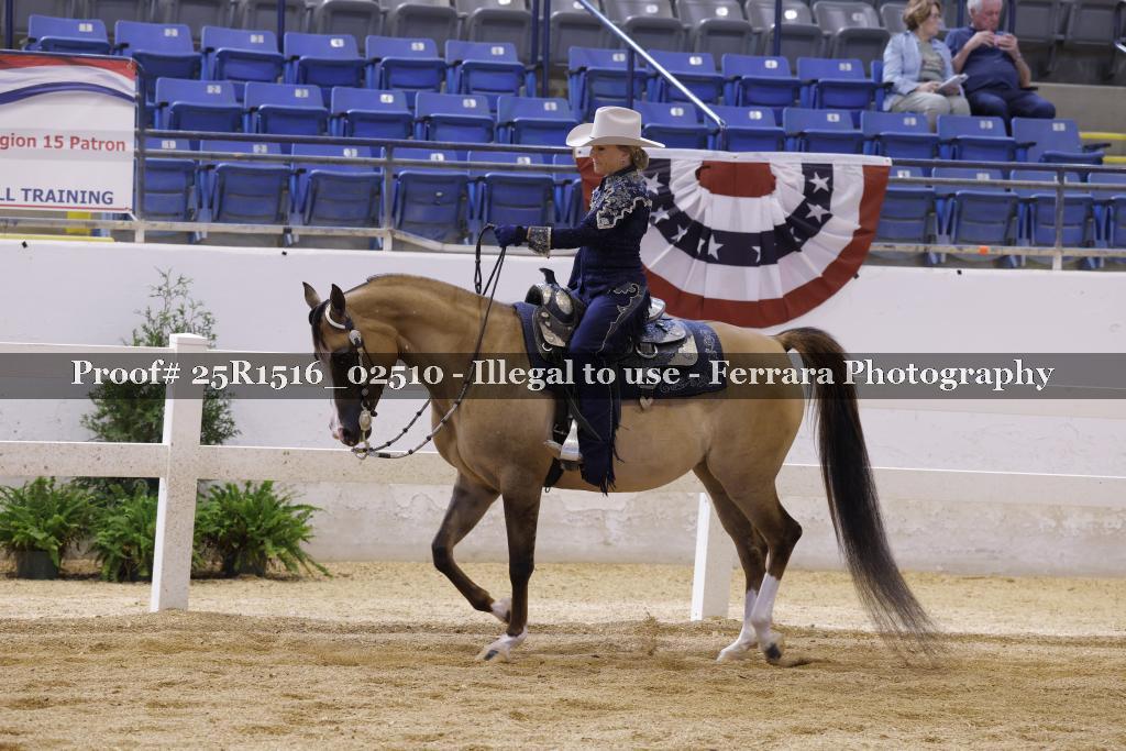 Proof Number 25R1516_02510