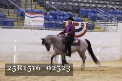 25R1516_02523 thumbnail