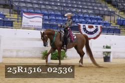 25R1516_02536 thumbnail