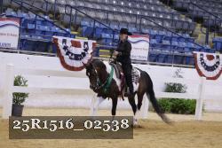 25R1516_02538 thumbnail