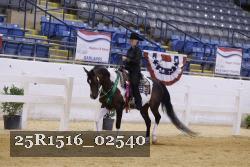 25R1516_02540 thumbnail