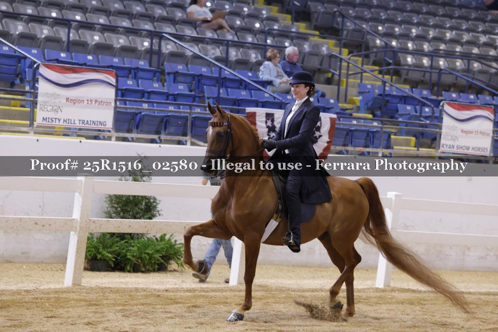 Proof Number 25R1516_02580
