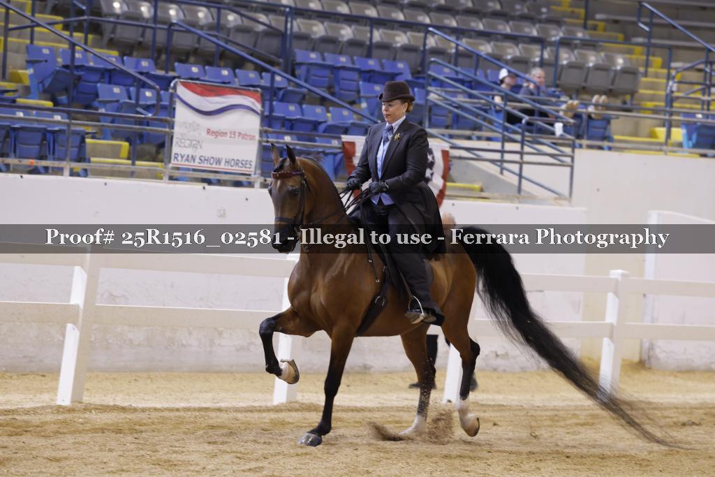 Proof Number 25R1516_02581
