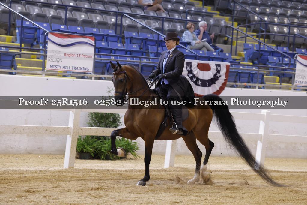 Proof Number 25R1516_02582