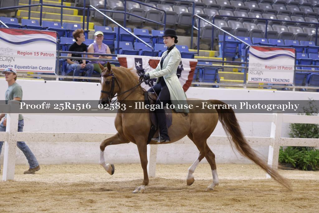 Proof Number 25R1516_02583