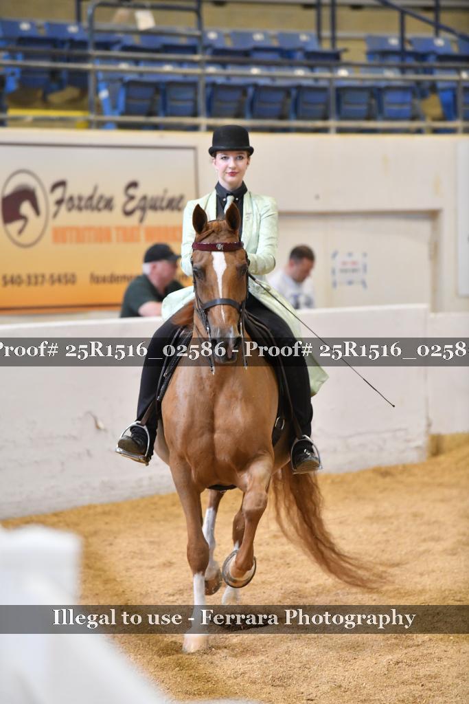 Proof Number 25R1516_02586