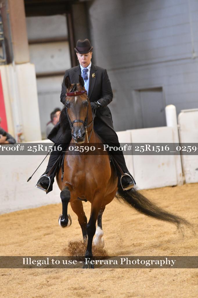 Proof Number 25R1516_02590