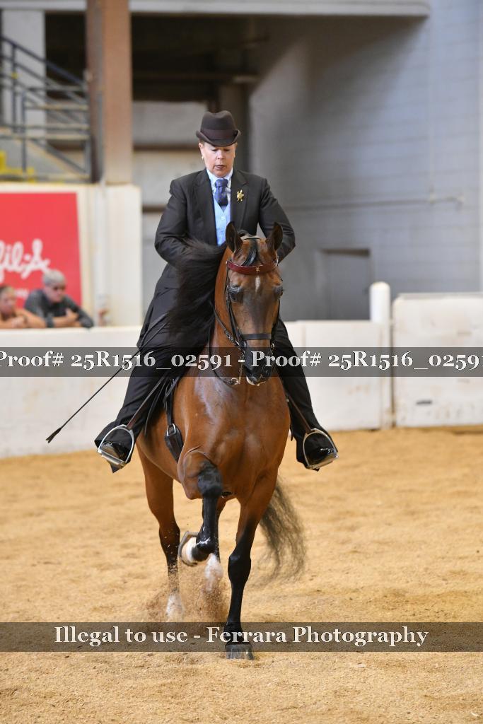 Proof Number 25R1516_02591