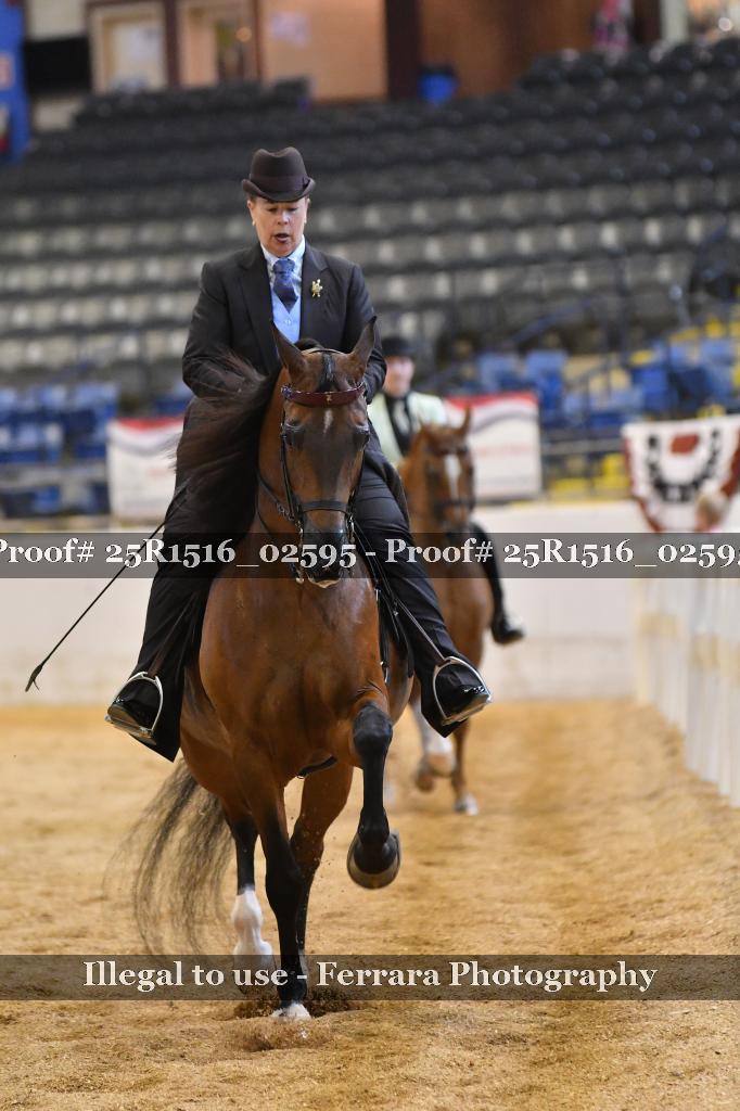 Proof Number 25R1516_02595