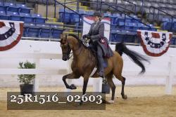 25R1516_02603 thumbnail