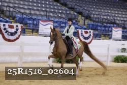 25R1516_02604 thumbnail