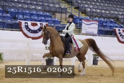 25R1516_02605 thumbnail