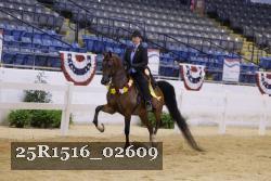 25R1516_02609 thumbnail