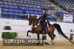 25R1516_02612 thumbnail