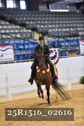 25R1516_02616 thumbnail