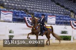 25R1516_02617 thumbnail