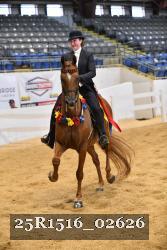 25R1516_02626 thumbnail