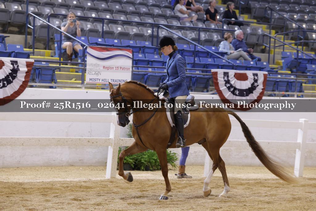 Proof Number 25R1516_02641