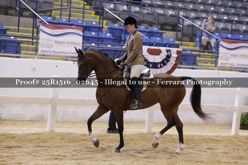 Proof Number 25R1516_02645