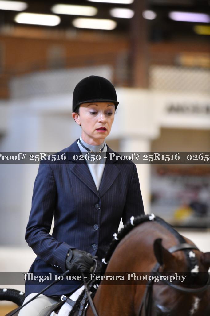Proof Number 25R1516_02650