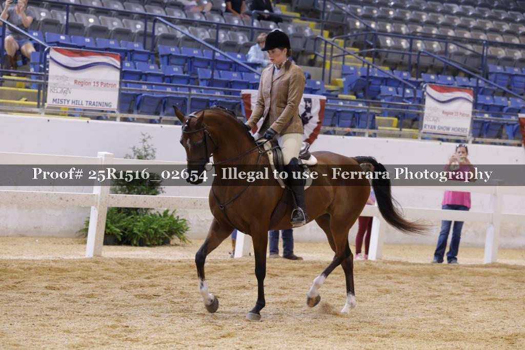 Proof Number 25R1516_02654