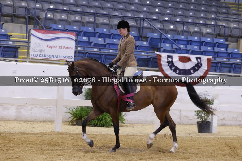 Proof Number 25R1516_02678