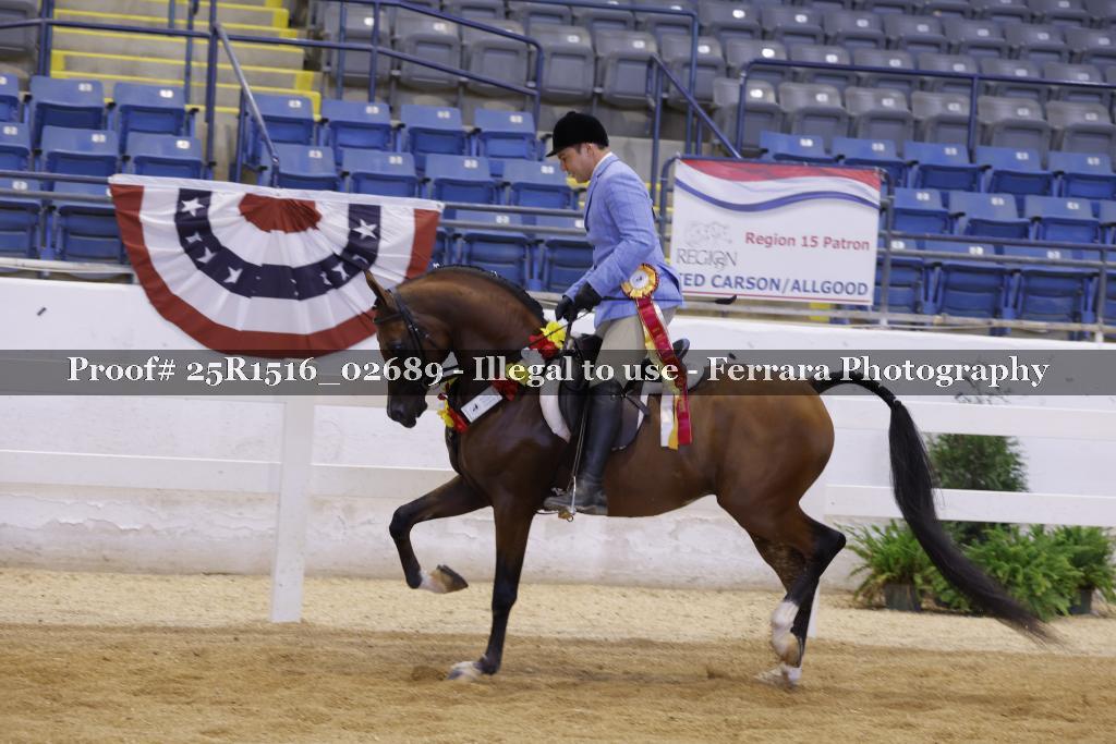 Proof Number 25R1516_02689