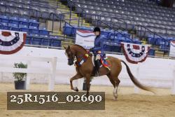 25R1516_02690 thumbnail
