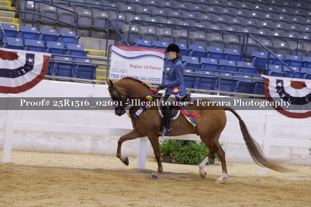 Proof Number 25R1516_02691