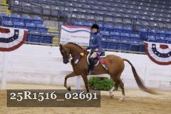 25R1516_02691 thumbnail