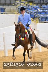 25R1516_02692 thumbnail