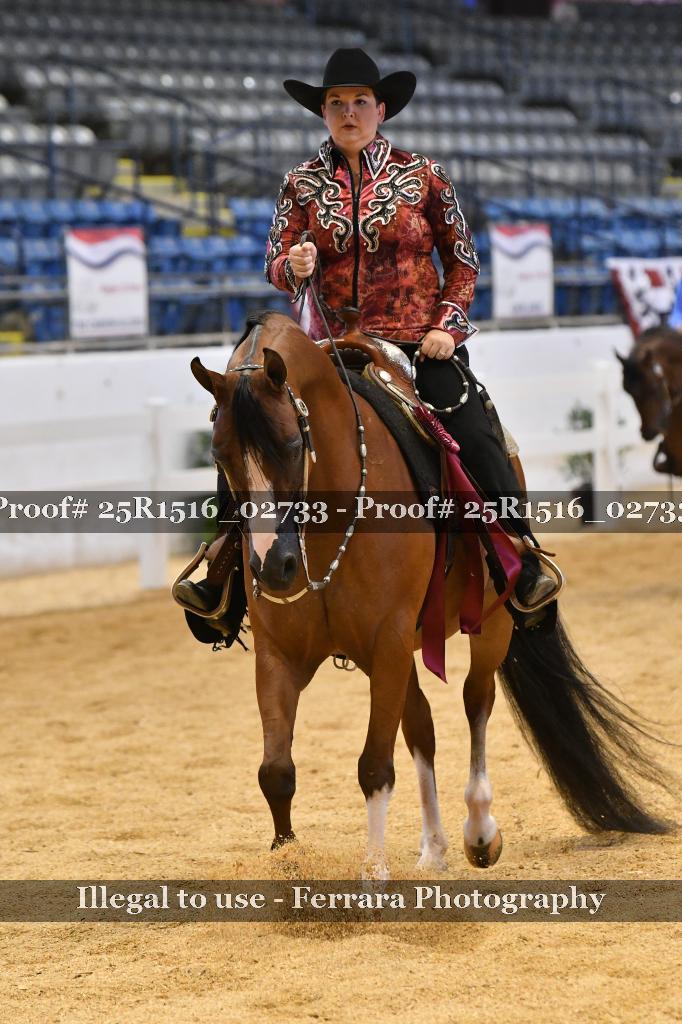 Proof Number 25R1516_02733
